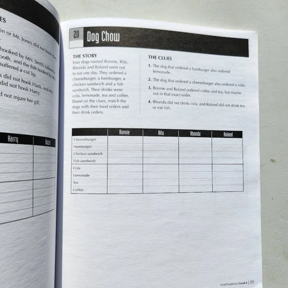 MindWare Grid Perplexors Level A Book Workbook Brain Teasers Puzzle Book Logic B